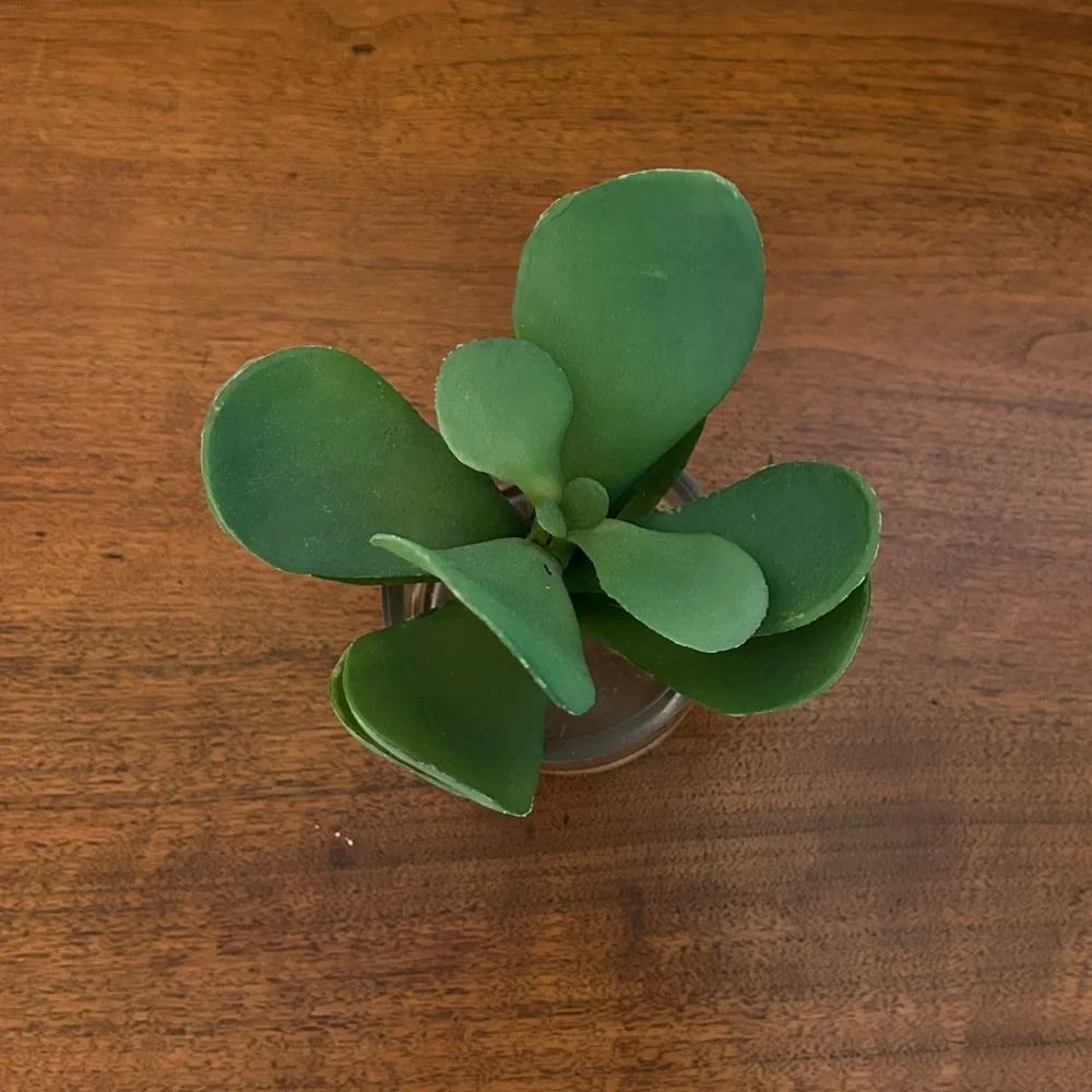 Green Artificial Plant in Clear Glass Vase